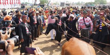Laksamana TNI Yudo Margono ikut larut dalam keseruan kerapan sapi di Bangkalan. Foto: Bacaini/Rusdi