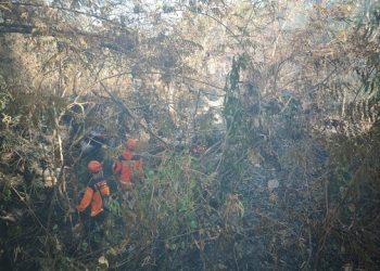 4 Hektare Lahan di Bukit Klotok Kediri Kebakaran