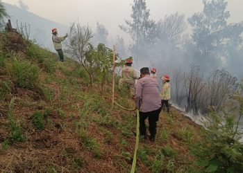Kebakaran Bromo Merembet Hingga Perbatasan Probolinggo – Lumajang