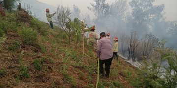 Kebakaran Bromo Merembet Hingga Perbatasan Probolinggo – Lumajang