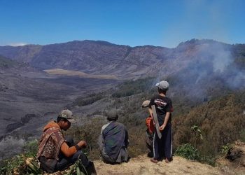 Kebakaran Konservasi Bromo, TNBTS Rugi 5 Miliar Lebih