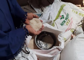 Harga Beras di Pasar Trenggalek Masih Mahal