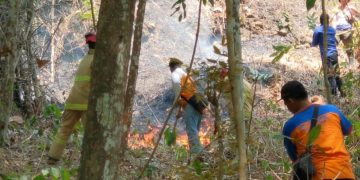 Udara panas di Trenggalek membakar tiga hektar hutan dan lahan. (foto/aby/Bacaini)
