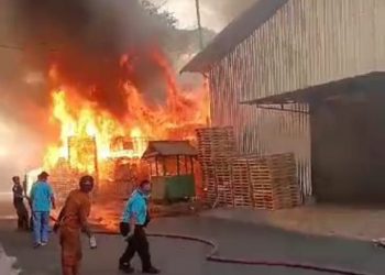 Usai Didemo Warga, Pabrik Kayu Jombang Penyebab Pencemaran Lingkungan Terbakar