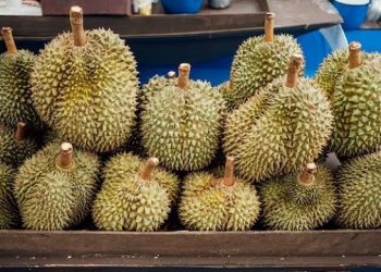 Dituduh Mencuri Durian, Ketua RW Dipolisikan