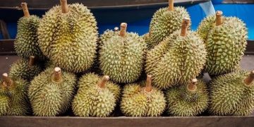 Dituduh Mencuri Durian, Ketua RW Dipolisikan