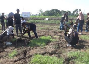 Kawasan Embung Roro Suratmi Nganjuk Dihidupkan Lagi