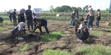 Kawasan Embung Roro Suratmi Nganjuk Dihidupkan Lagi. (foto/Bacaini)