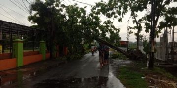 Angin Kencang Obrak-abrik Jombang, Pohon Bertumbangan Warga Tercekam Ketakutan. (foto/ist)