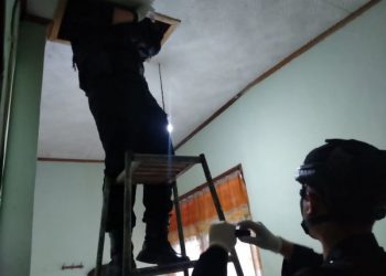 Ngeri! Evakuasi Anak Kucing di atas Plafon Rumah Malah Temukan Granat Aktif