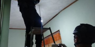 Ngeri! Evakuasi Anak Kucing di atas Plafon Rumah Malah Temukan Granat Aktif. (foto/ist)