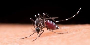 Musim Hujan Mundur, Puncak Kasus DBD di Kota Kediri Bergeser