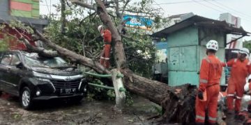 2 Mobil Ringsek Dihajar Angin Kencang (foto/bacaini)