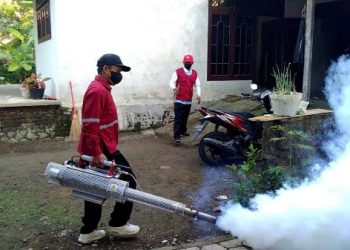 Siklus 5 Tahunan DBD Intai Warga Trenggalek, Ini Penjelasannya