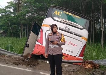 Adu Banteng Bus Harapan Jaya dan Avanza, 12 Orang Terluka
