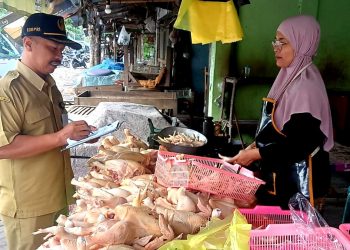 Awasi Stabilitas Harga Komoditas, DKPP Gelar Monitoring Harian