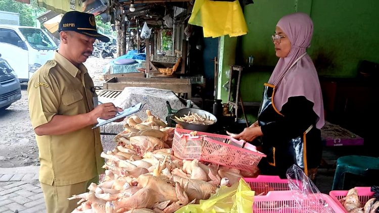 Awasi Stabilitas Harga Komoditas, DKPP Gelar Monitoring Harian