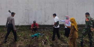 Tewas di Area Persawahan, Ini Penyebab Kematian Lansia Kediri. (foto/Bacaini)