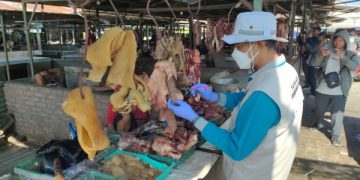 Sidak Pasar Tradisional Kediri, Petugas Dikejutkan Daging Untuk Anjing. (foto/Bacaini)