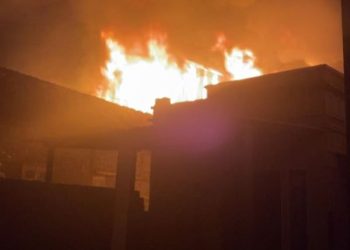 Gudang Petshop Tulungagung Terbakar, Modal Rp 3 Miliar Melayang