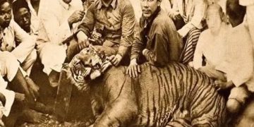 mitos kediri dimangsa harimau