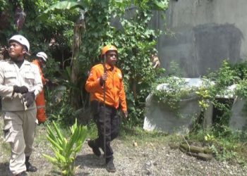 Kawanan Monyet Misterius Tiba-tiba Muncul dan Resahkan Warga, Pertanda Apa?