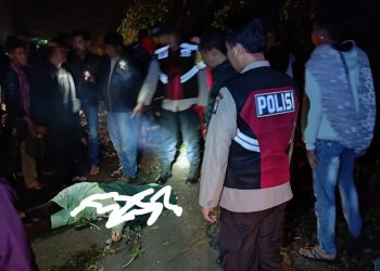 Mobil 9 Penumpang Masuk Jurang di Kawasan Bromo, 4 Orang Dikabarkan Tewas
