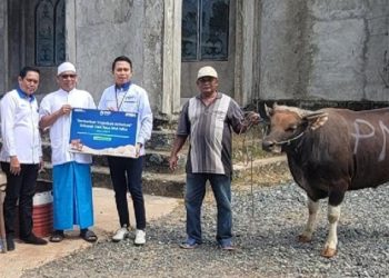 PNM Bagikan Hewan Kurban ke Kawasan Tertinggal Indonesia