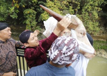 Petani Trenggalek Ungkapkan Syukur dengan Gelar Tradisi Lempar Kepala Kerbau