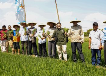 Pemkot Kediri Dukung Program Yatim Mandiri Berdayakan Petani Lokal di Kelurahan Pojok