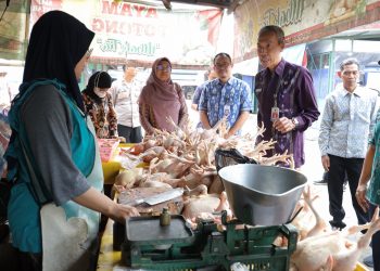 Pantau Stok dan Harga Komoditas Jelang Hari Raya Kurban, Satgas Ketahanan Pangan Kota Kediri Lakukan Sidak