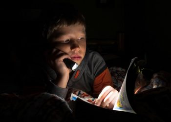 Starlink, Jalan Pemerataan Internet di Pedalaman