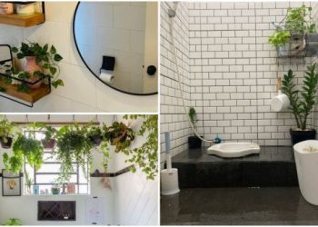 Waktunya Percantik Kamar Mandi Ala Spa dengan Tanaman Hias, Apa Saja?