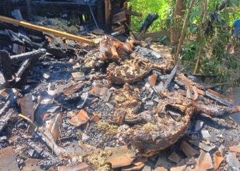 Lupa Matikan Perapian, 6 Ekor Kambing Milik Warga Nganjuk Terpanggang Hidup-hidup