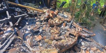 Lupa Matikan Perapian, 6 Ekor Kambing Milik Warga Nganjuk Terpanggang Hidup-hidup. (foto/Bacaini)