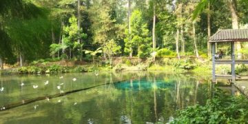 Telaga Rambut Monte, Keindahan Alam Karya Tapol 65 . (foto/Bacaini)