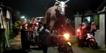 Rayakan Malam Takbir Idul Adha, Warga Kediri Arak Replika Sapi. (foto/Bacaini)