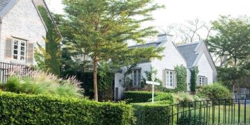 Sejumlah Tanaman Pembawa Rezeki Menurut Primbon Jawa, Wajib Punya