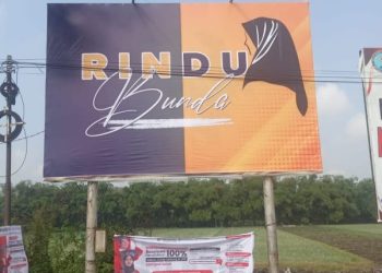 Koalisi Hanura-Nasdem Usung Bunda Ita di Pilkada Nganjuk?