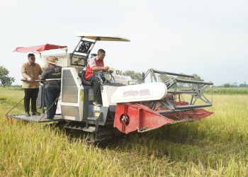 Mas Dhito Dorong Petani Kediri Miliki Multi Skill