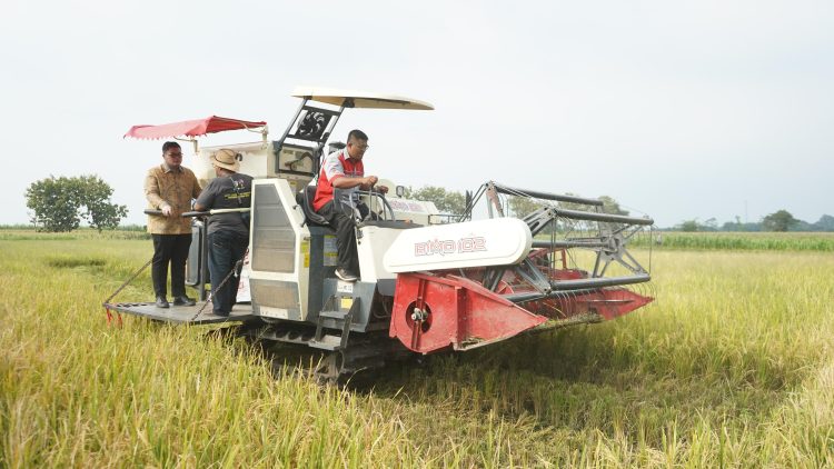 Mas Dhito Dorong Petani Kediri Miliki Multi Skill