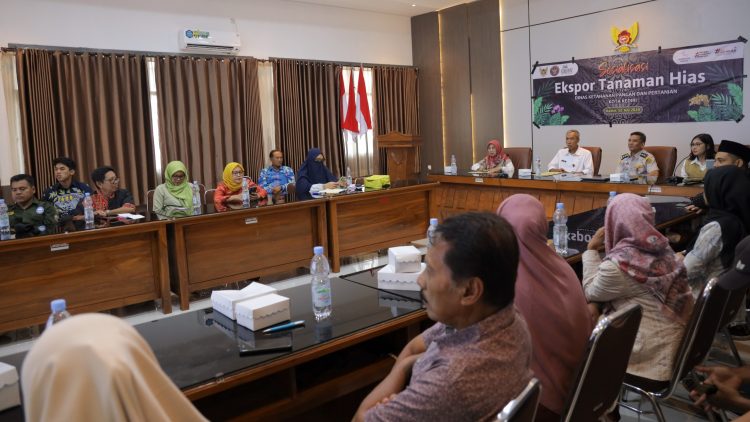 Tangkap Peluang Ekspor Tanaman Hias, DKPP Dorong Petani Tanaman Hias Go Internasional