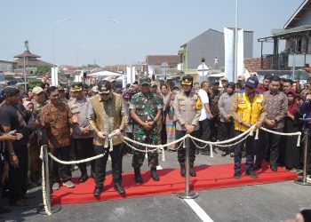 Resmi Dibuka, Mas Dhito Ajak Masyarakat Rawat Jembatan Jongbiru
