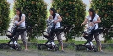 Anak Emak Kucing Pororo Dikasari Pengasuh Viral di Medsos, Netizen Emosi. (foto:tangkapan layar)