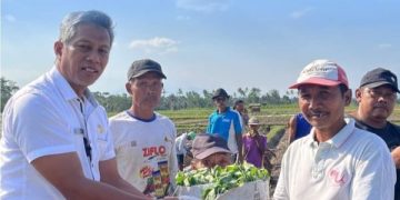5 Varietas Benih Unggul Siap Majukan Pertanian Tembakau Blitar. (foto/ist)