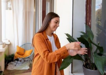 4 Tanaman Sesuai Fengshui Bisa Menarik Energi Kemakmuran