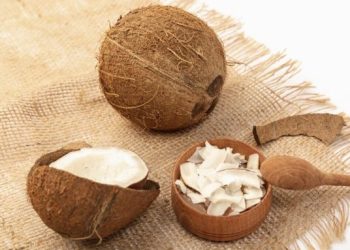 3 Khasiat Kelapa yang Menakjubkan, Sudah Tepat Jadi Simbol Pramuka