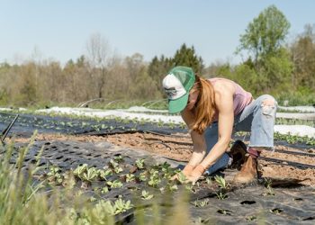 Berkebun Bisa Membunuh Stres, Percayalah