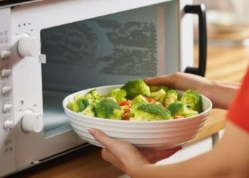 Ilmuwan Temukan Bakteri Tahan Hidup di Microwave Oven, Hati-hati!