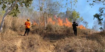 Kebakaran Hutan Perhutani di Gunung Orak Arik Trenggalek Sulit Dipadamkan. (foto/Bacaini)